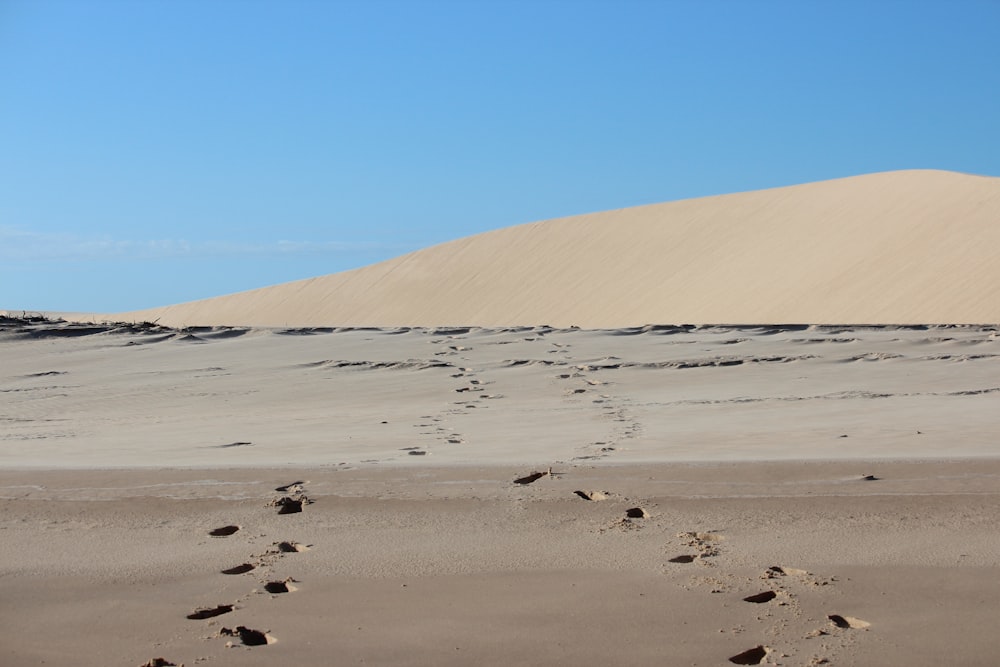 footprints in the sand in front of a sand dune