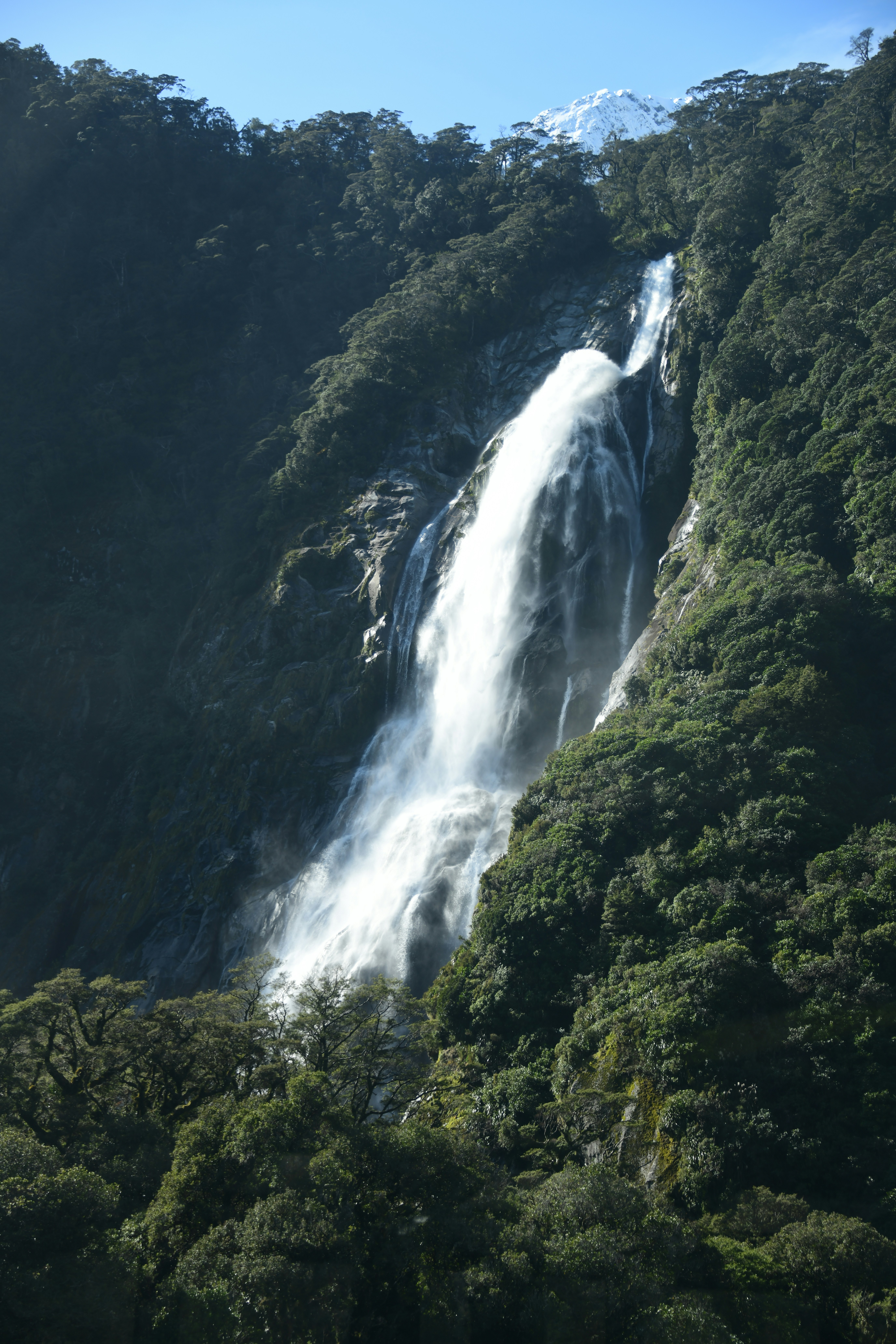 Photo by richard7seals