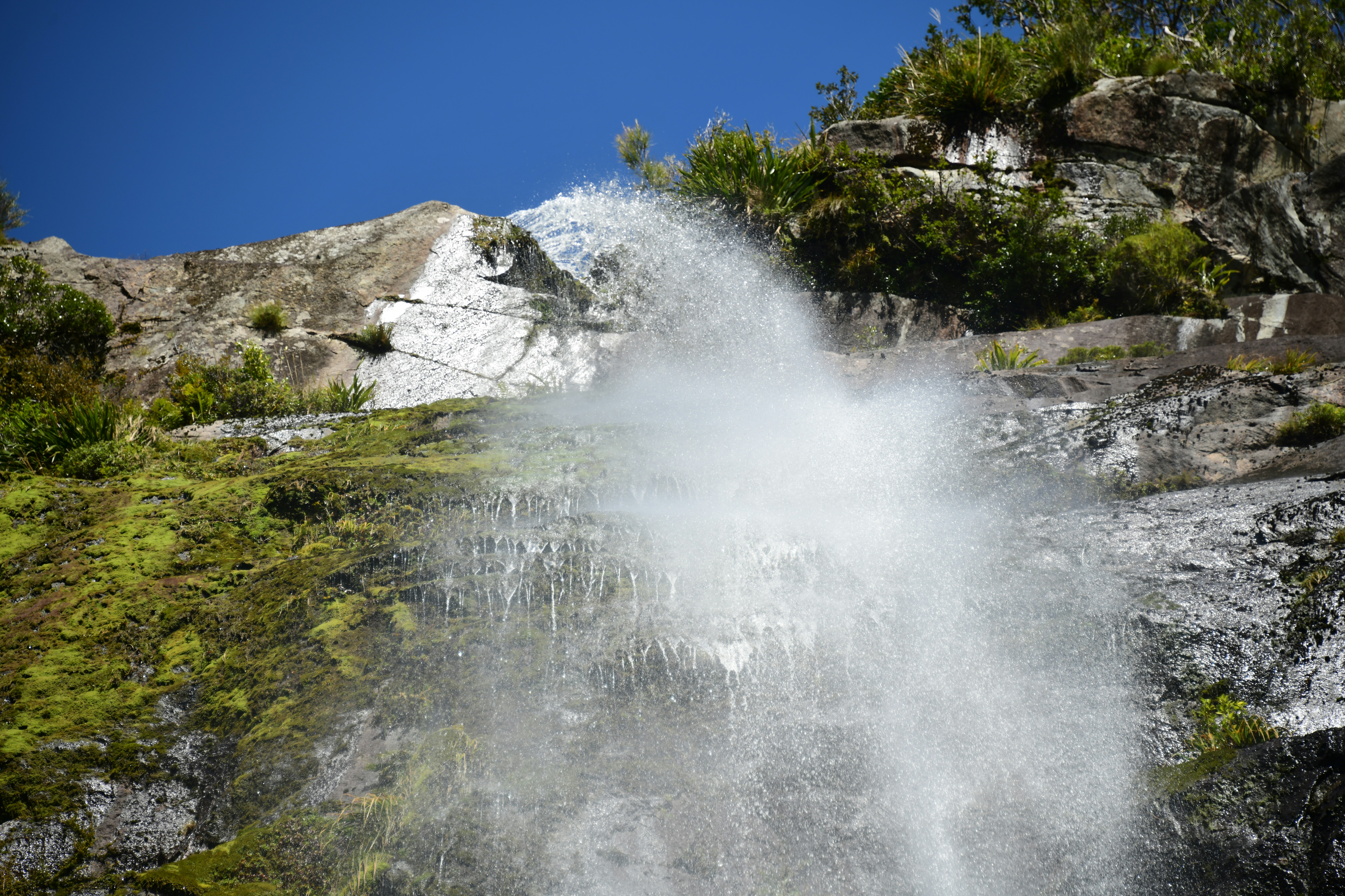 Photo by richard7seals