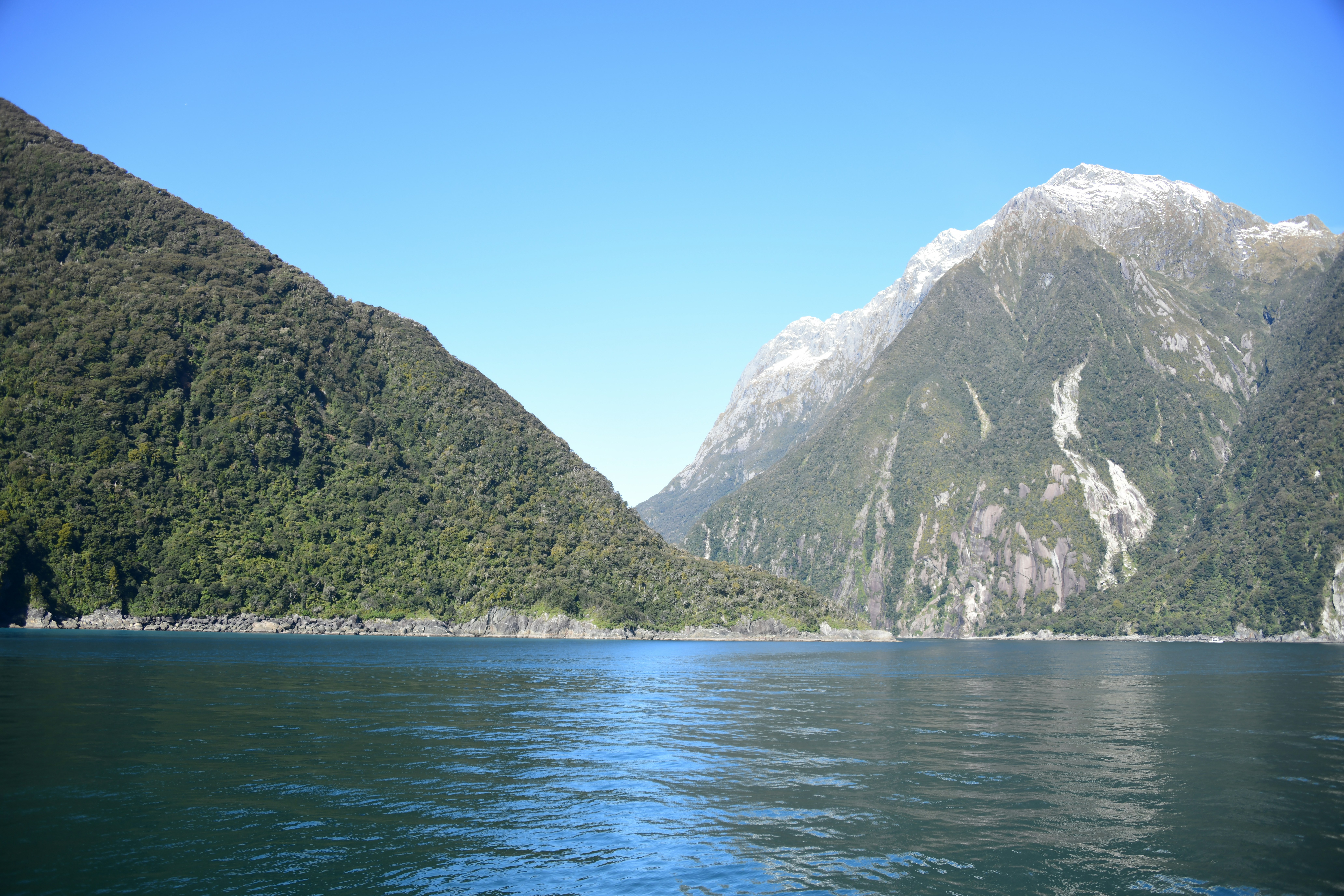 Photo by richard7seals