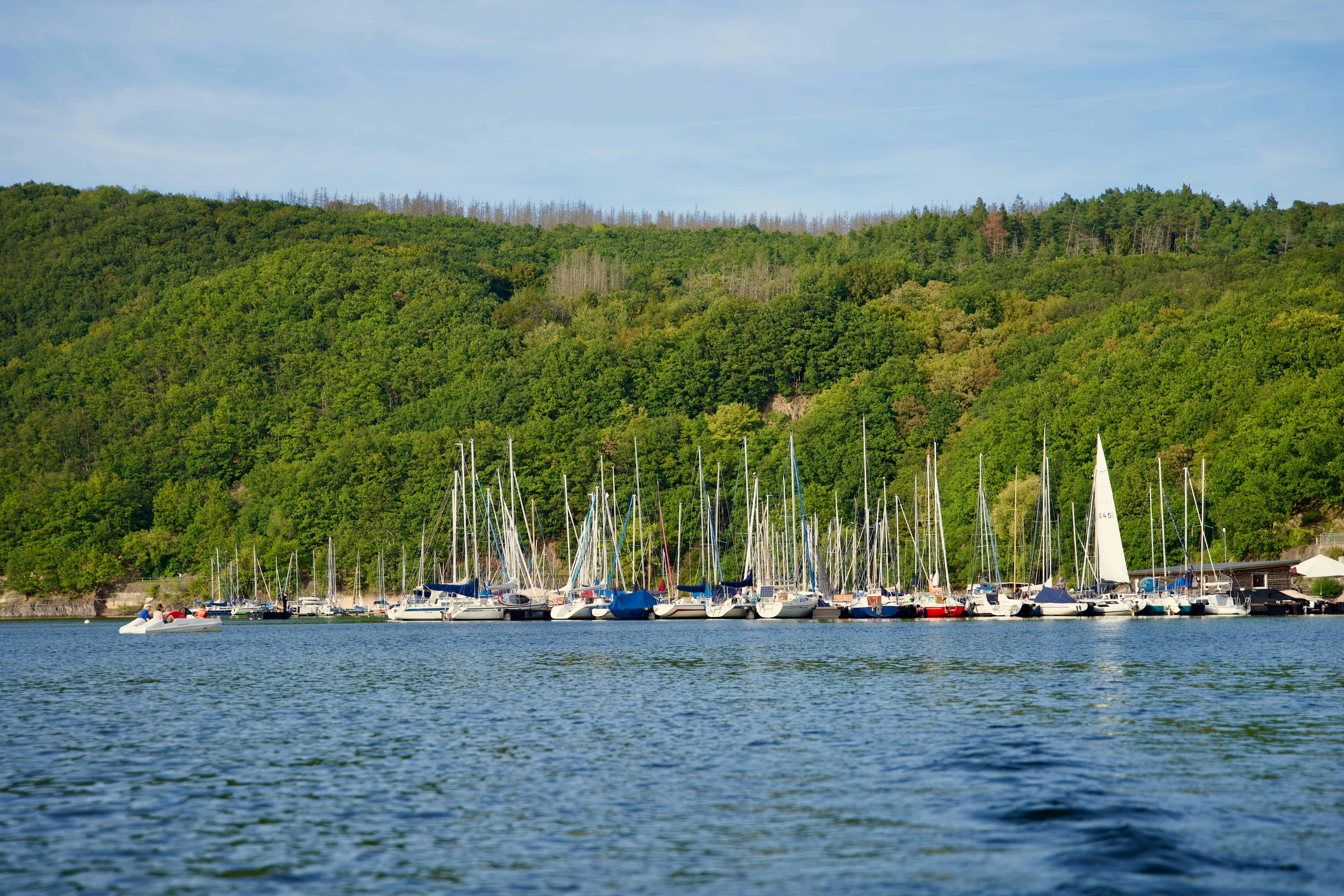 Photo by kingsukpasari