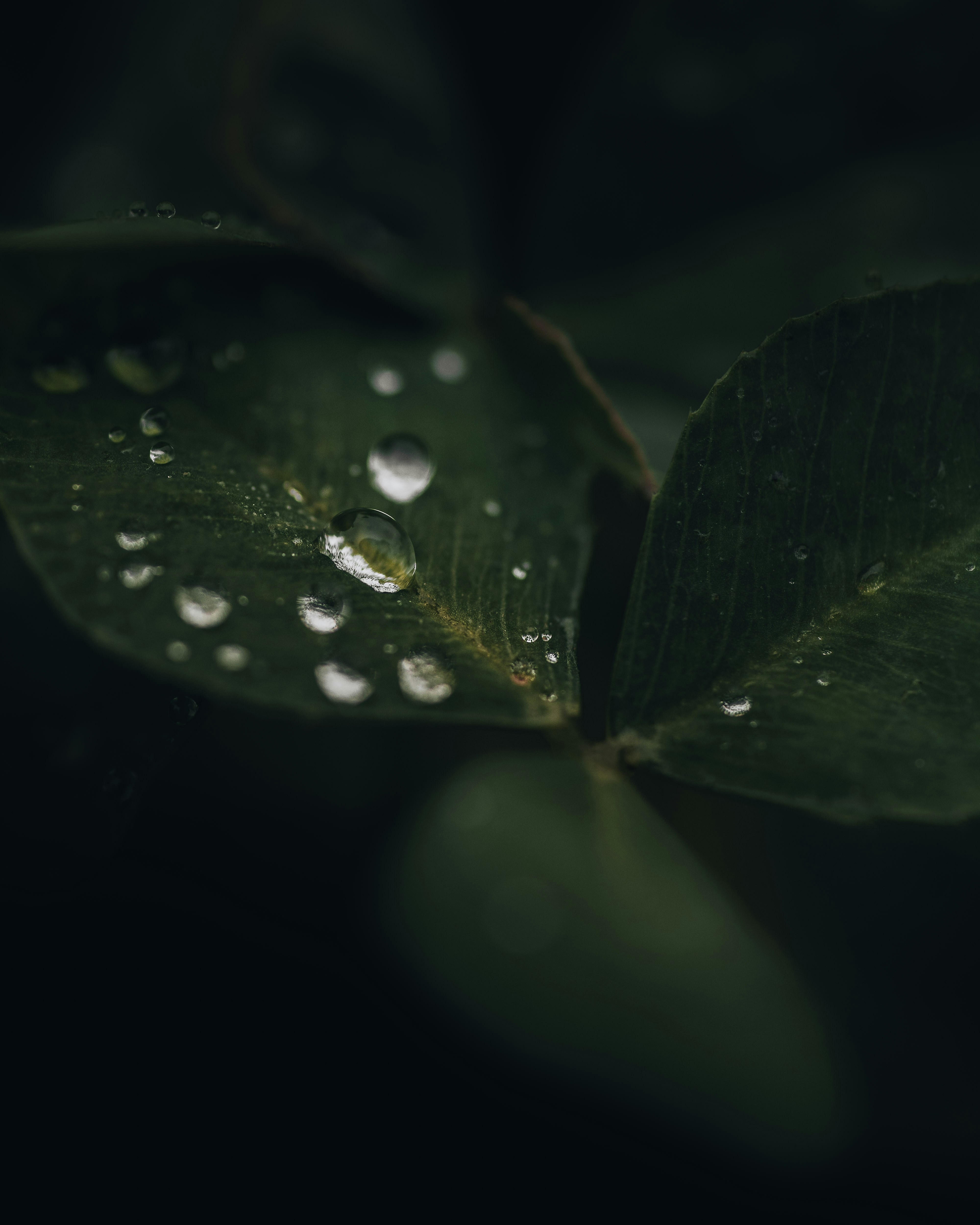 Photo by edgar_infocus