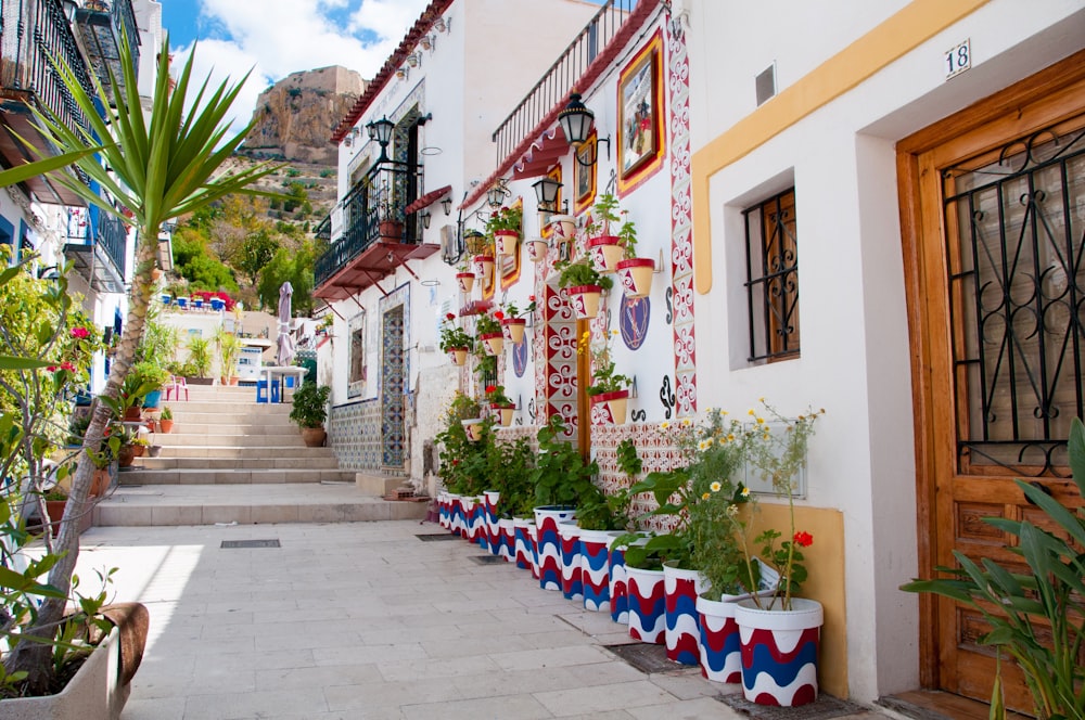 a narrow street lined with potted plants next to a building