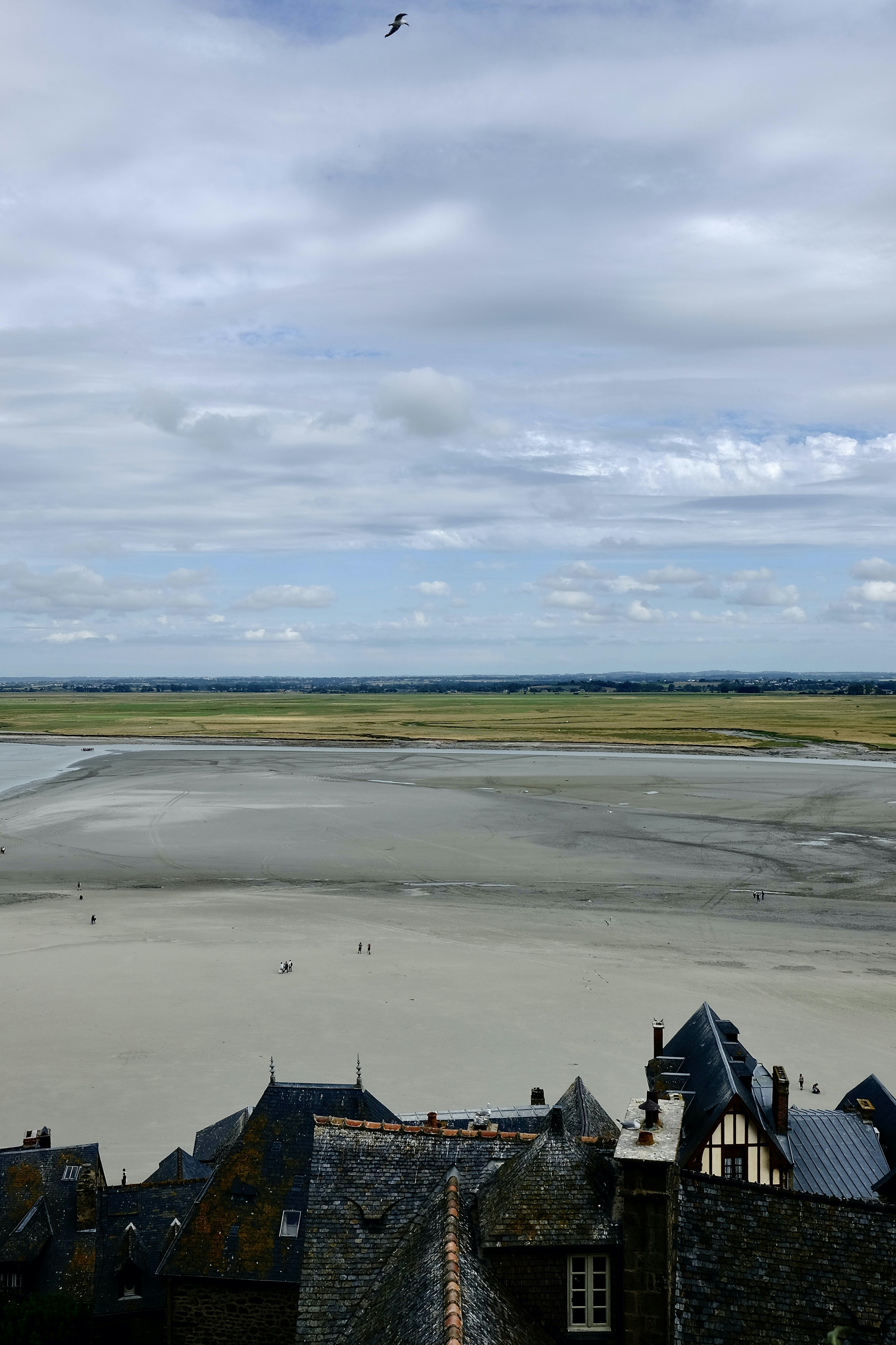 a bird flying over a building next to a body of water