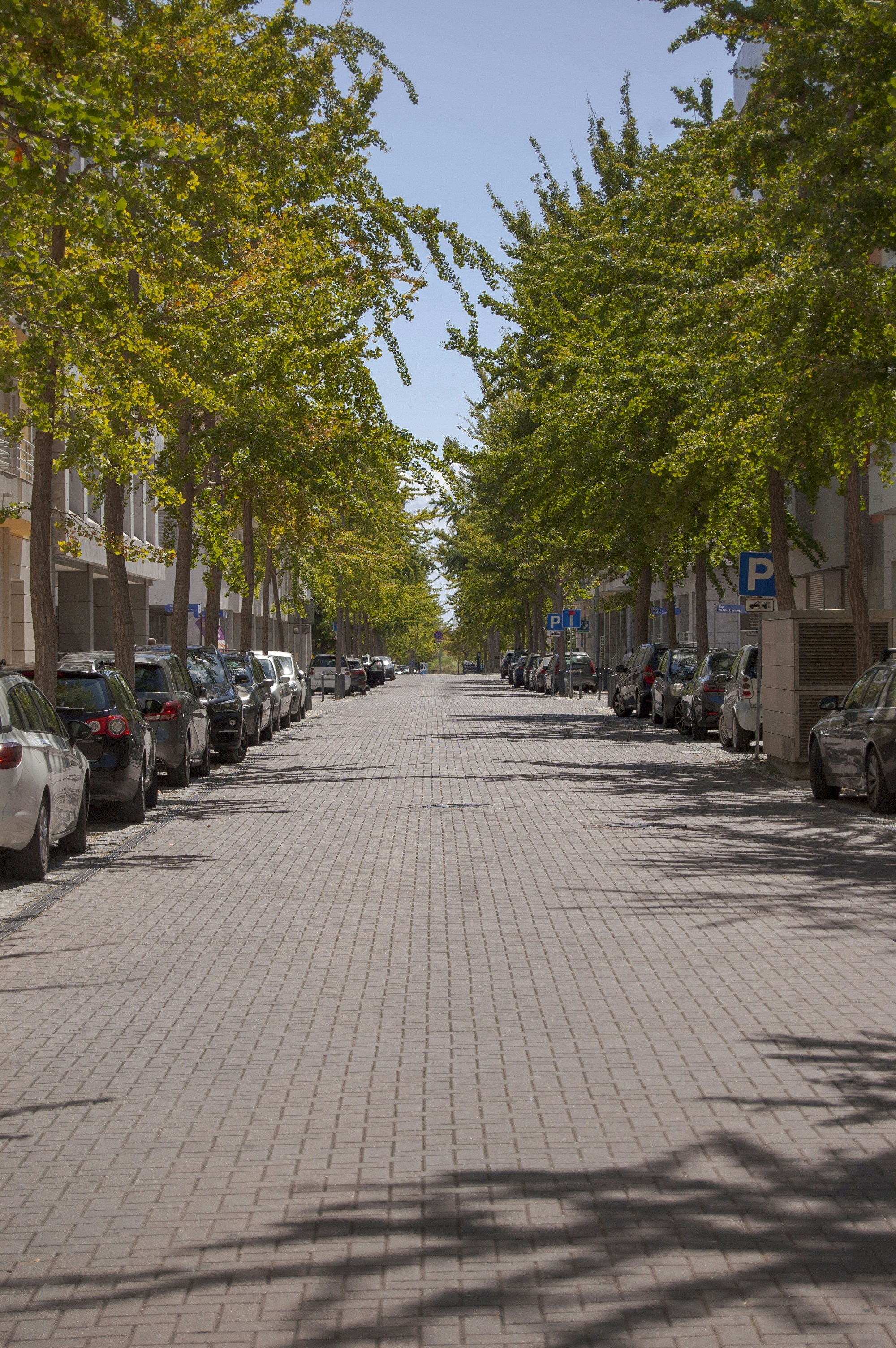 Photo by shoku_shoku