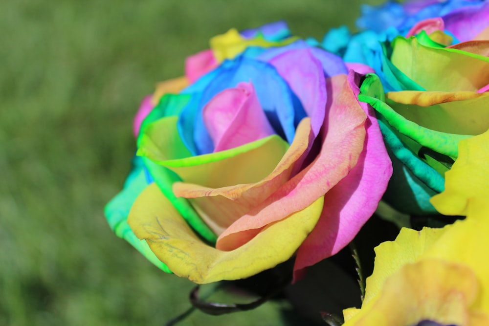 a bunch of multicolored roses sitting on top of a table