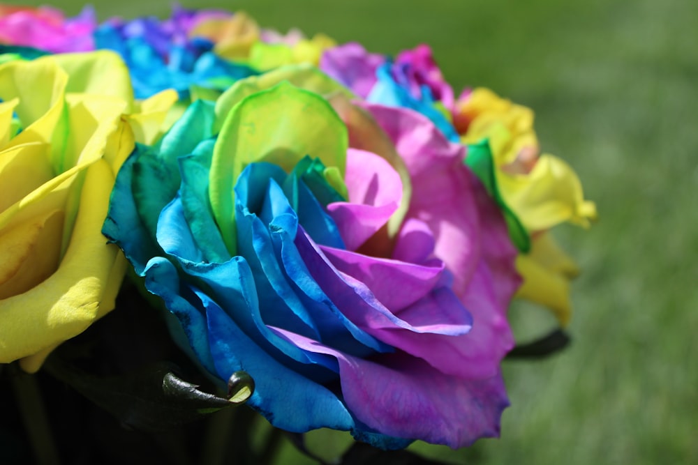 a close up of a bunch of colorful flowers