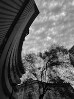 A black and white photograph captures a striking urban scene with an upward view of a tall, curved building next to a tree with bare branches. The sky is filled with scattered clouds, creating an atmospheric background.