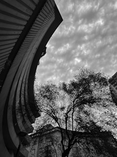 A black and white photograph captures a striking urban scene with an upward view of a tall, curved building next to a tree with bare branches. The sky is filled with scattered clouds, creating an atmospheric background.