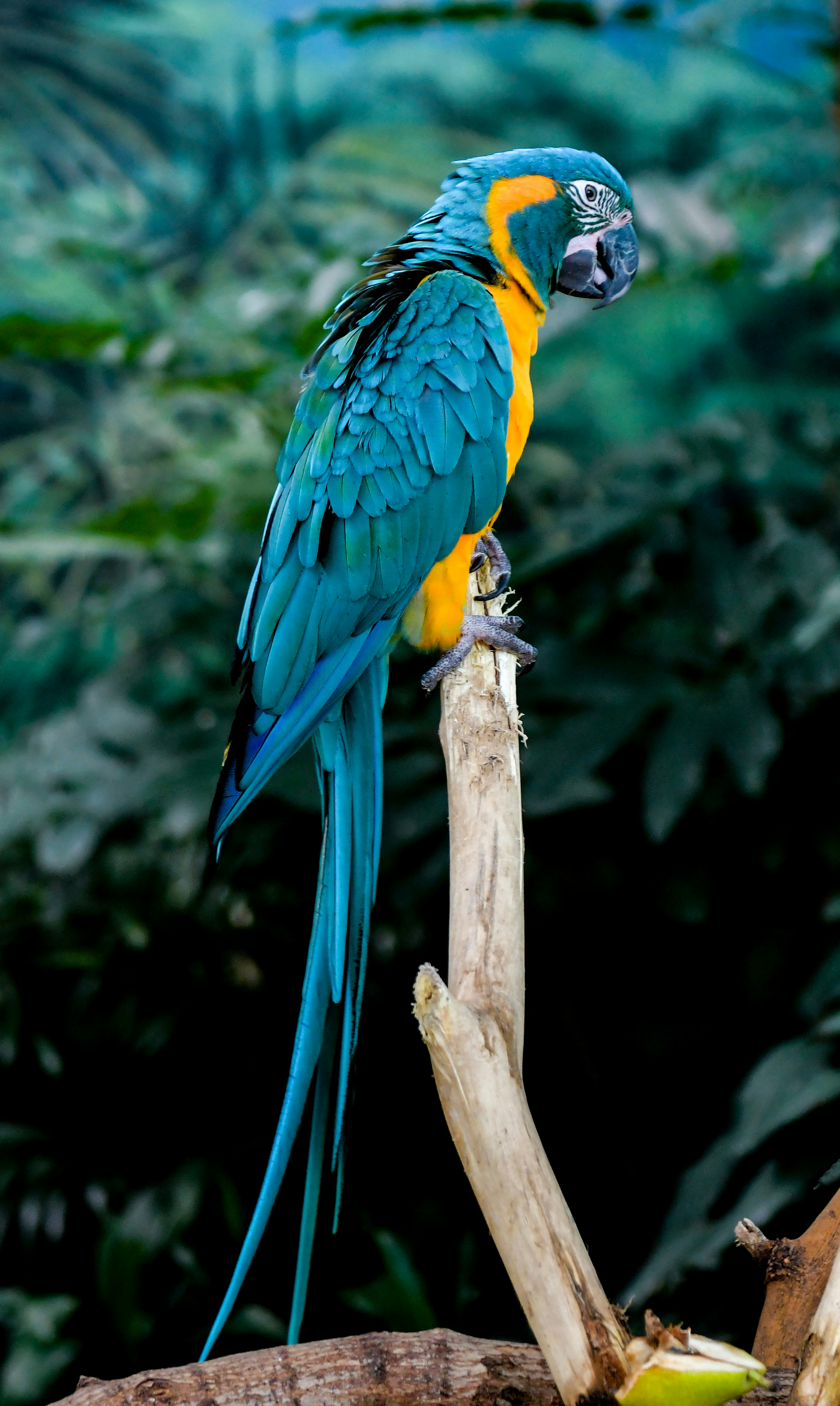 Photo by nikonphotoman2023