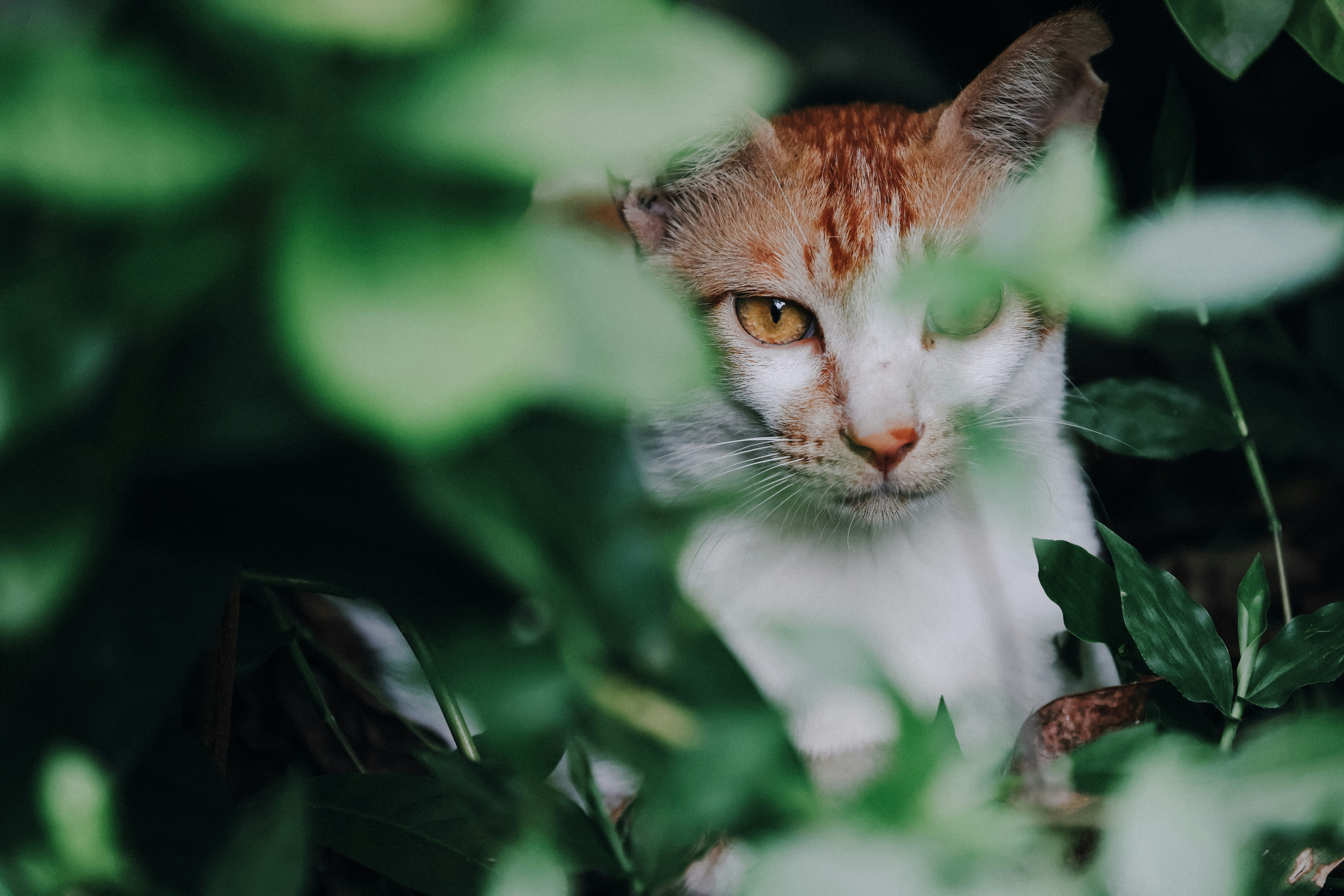 Photo by dickenslin76