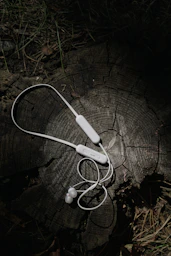 a pair of headphones sitting on top of a tree stump