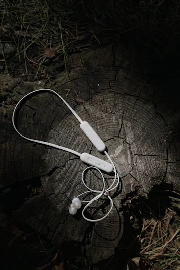 a pair of headphones sitting on top of a tree stump