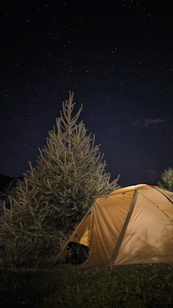 A serene outdoor setting where a constellations family therapy session is taking place.