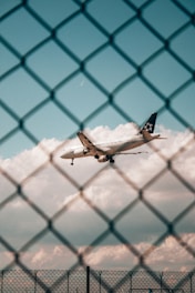 dolor de no poder volar