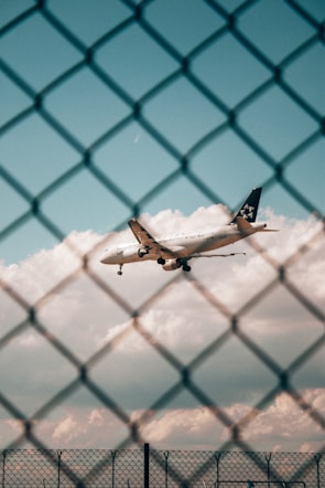 dolor de no poder volar
