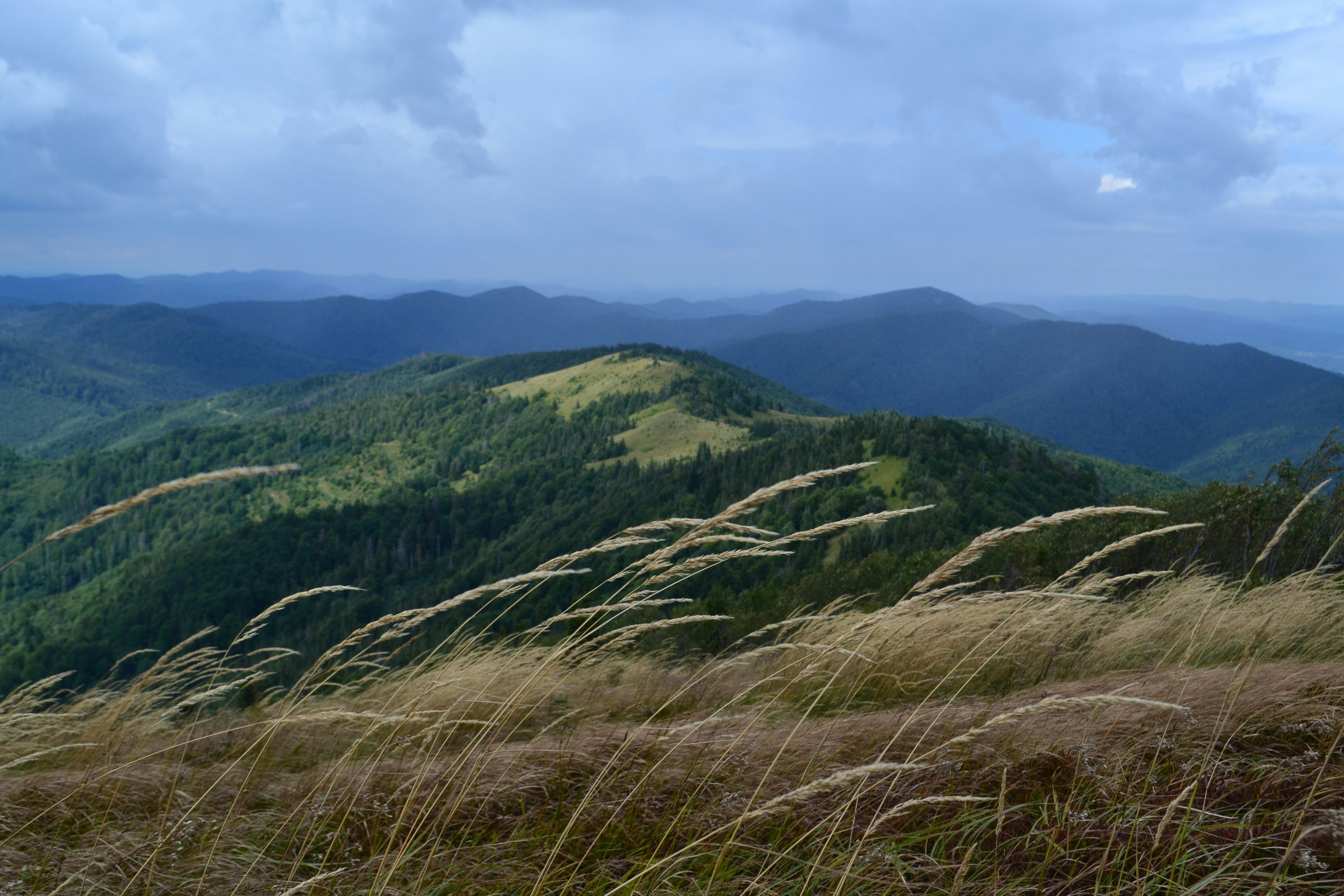 Photo by vlad_orient