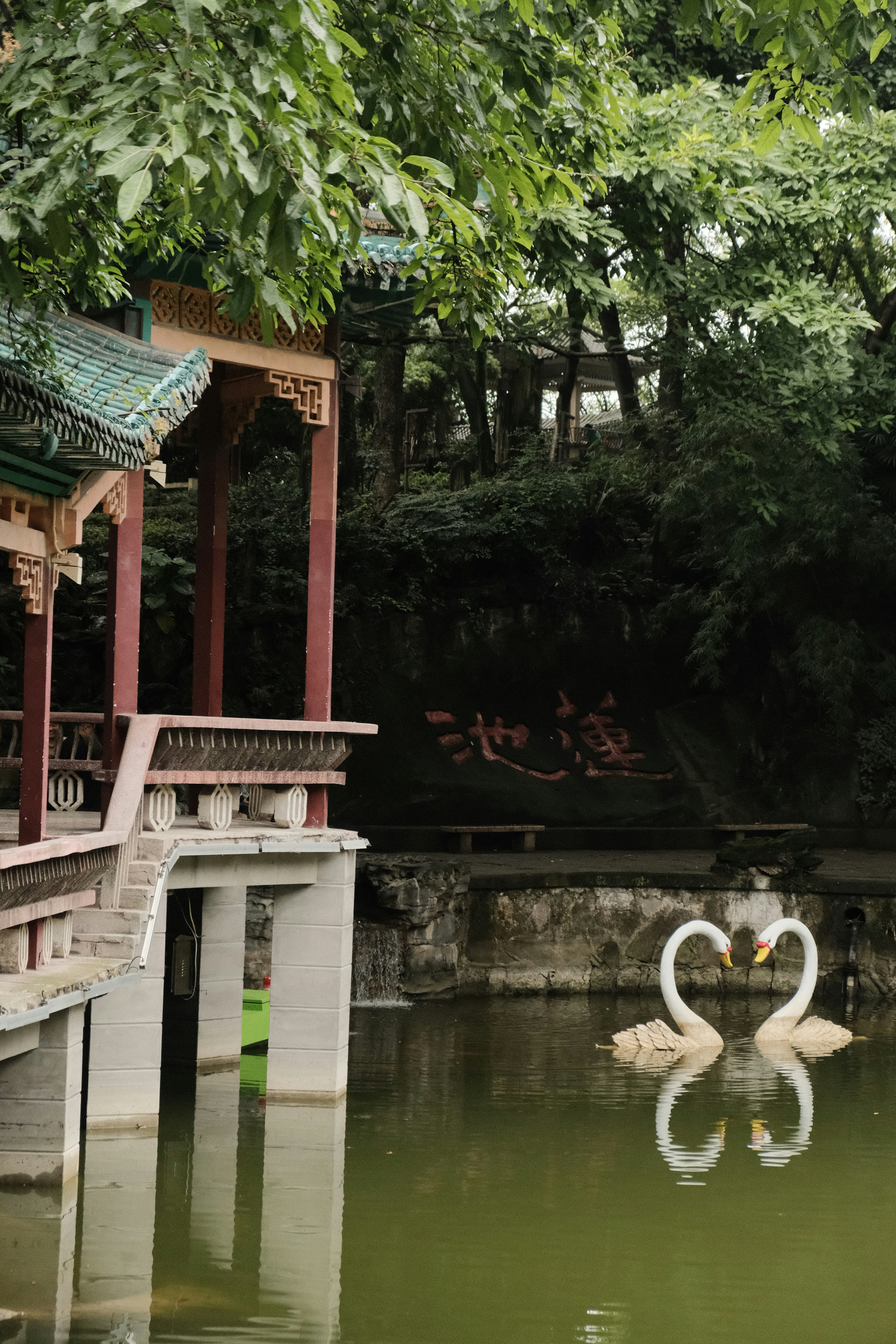 a couple of swans floating on top of a lake