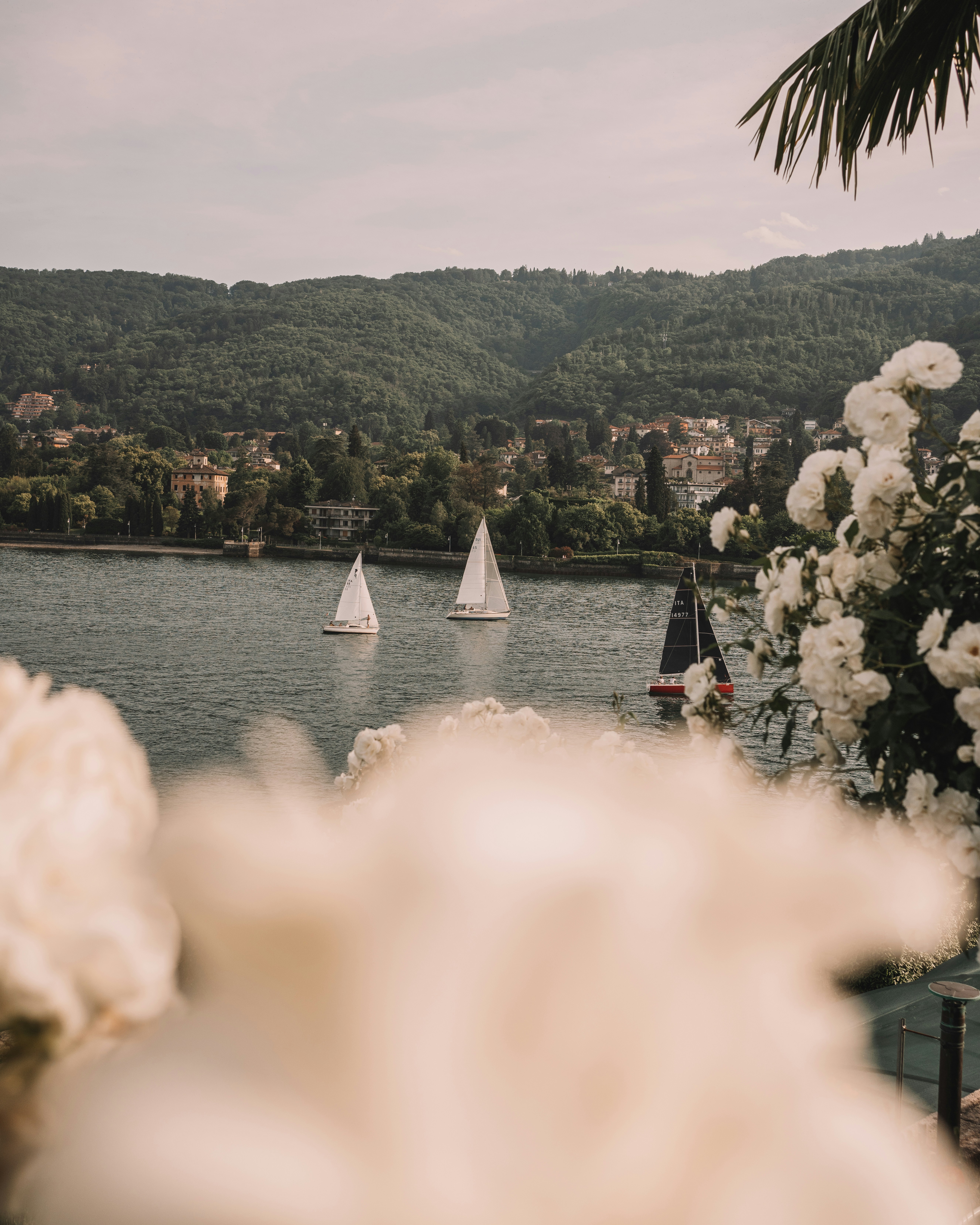a view of a lake with a bunch of boats in it