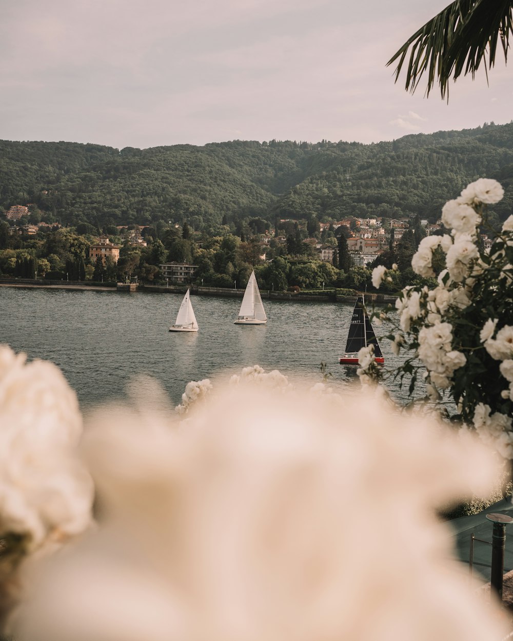 a view of a lake with a bunch of boats in it