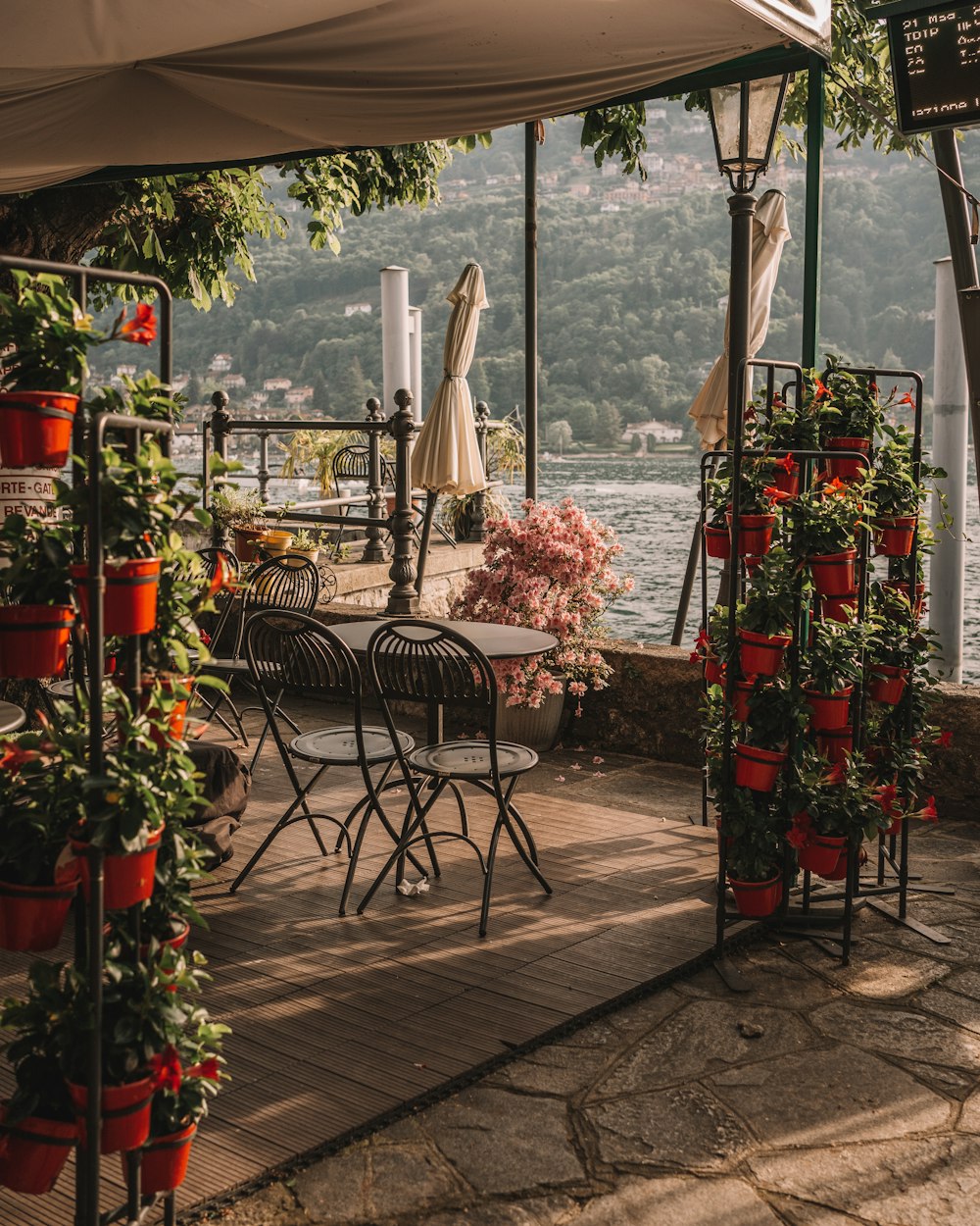 a patio covered in potted plants next to a body of water