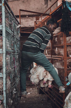 Avian specialist advising a local farmer inside a modern poultry farm.
