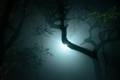 A misty forest at twilight with glowing neon green eyes peering through the shadows.
