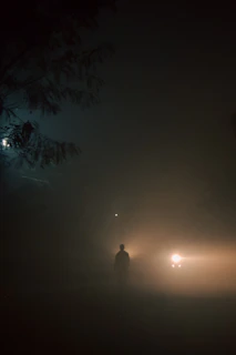 A shadowy figure standing in a foggy forest at night, illuminated by a faint eerie light.