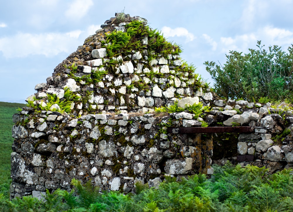 uma estrutura de pedra com plantas crescendo em cima dela