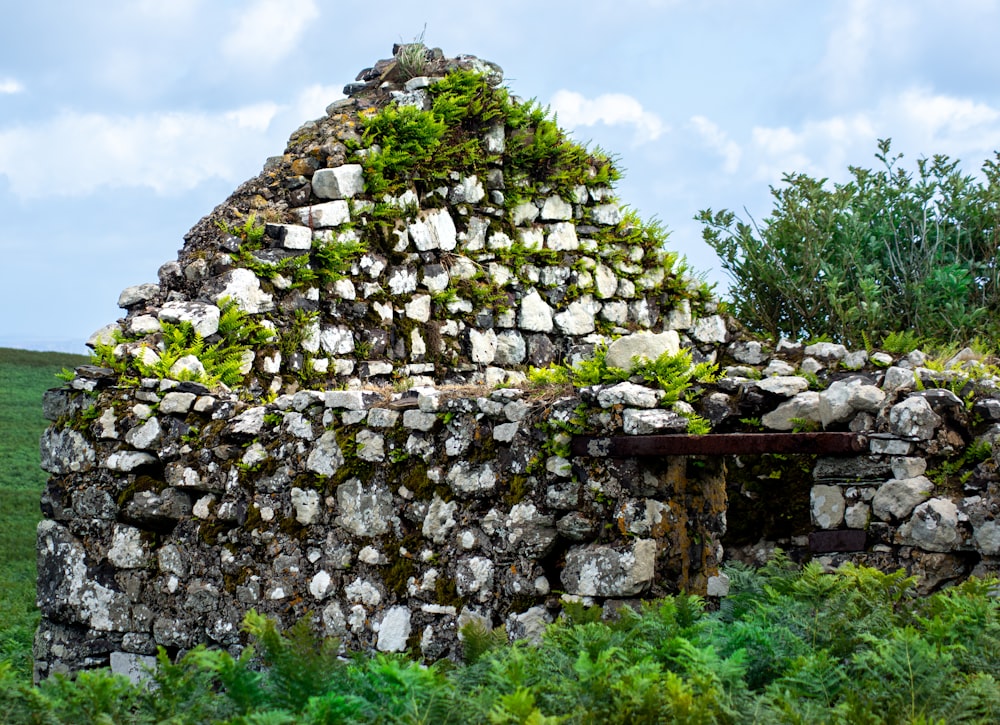a stone structure with plants growing on top of it