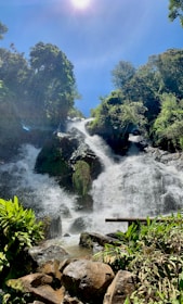Water cascading over lush rocks with vibrant greenery on a sunny day.