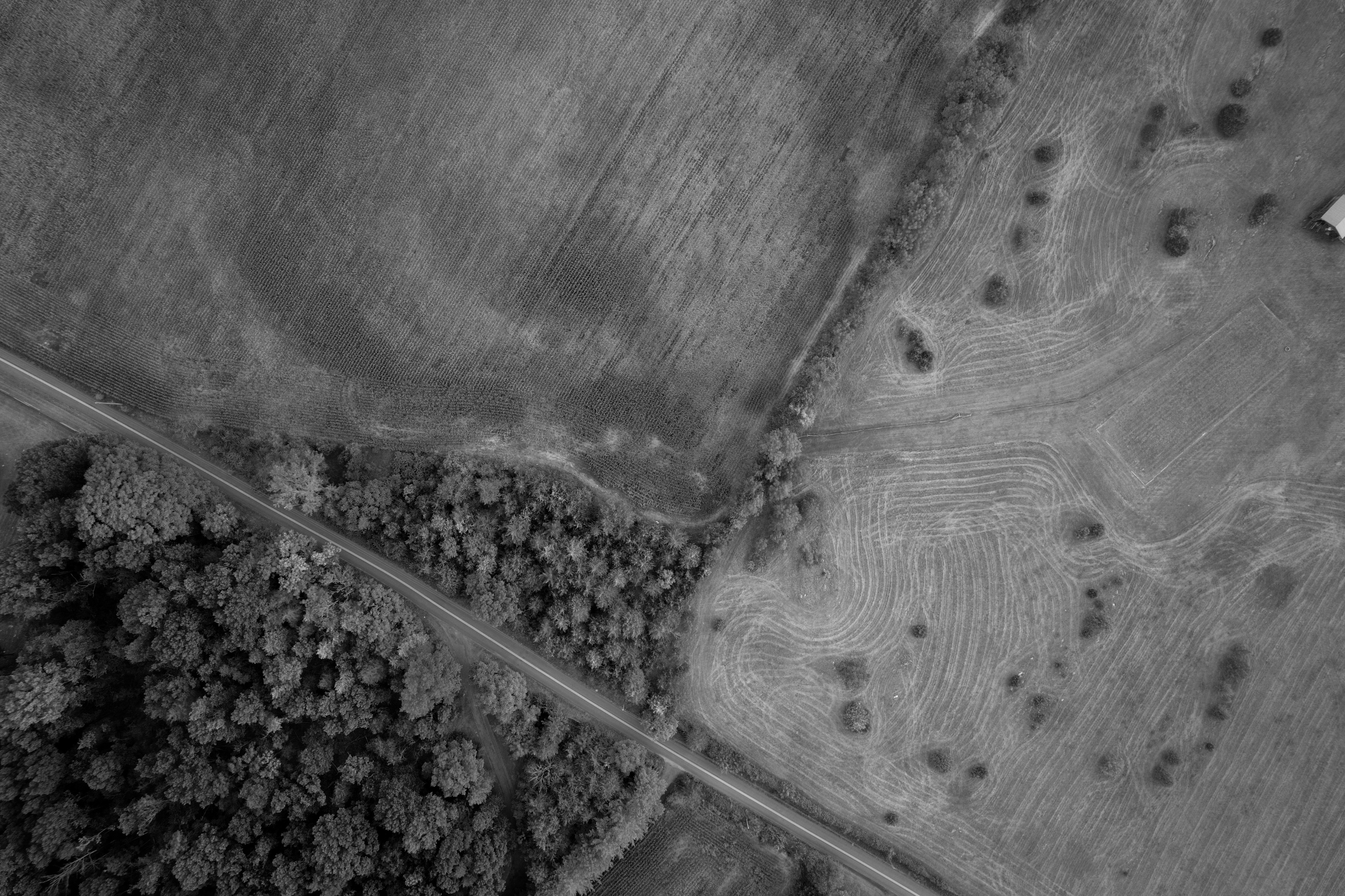 Photo by andrewguilfoy