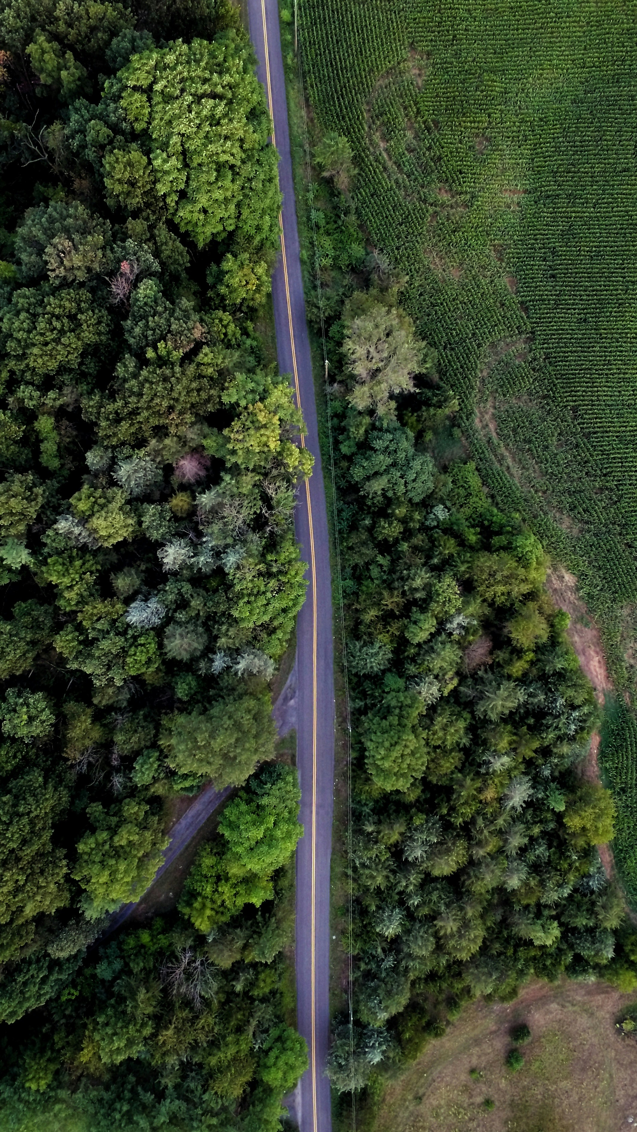 Photo by andrewguilfoy