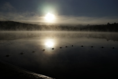 The image displays a serene lake during sunrise or sunset with mist hovering over the water. A line of small buoys stretches across the reflective surface, and a background of forested hills is visible under a hazy, soft sky partially obscured by mist.