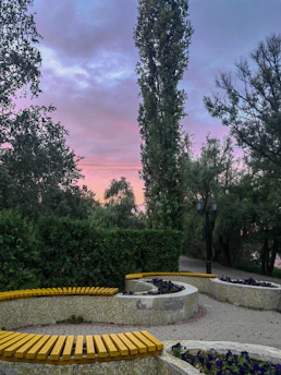 A serene purple sunset over a peaceful community park in Warren County, symbolizing hope and healing.