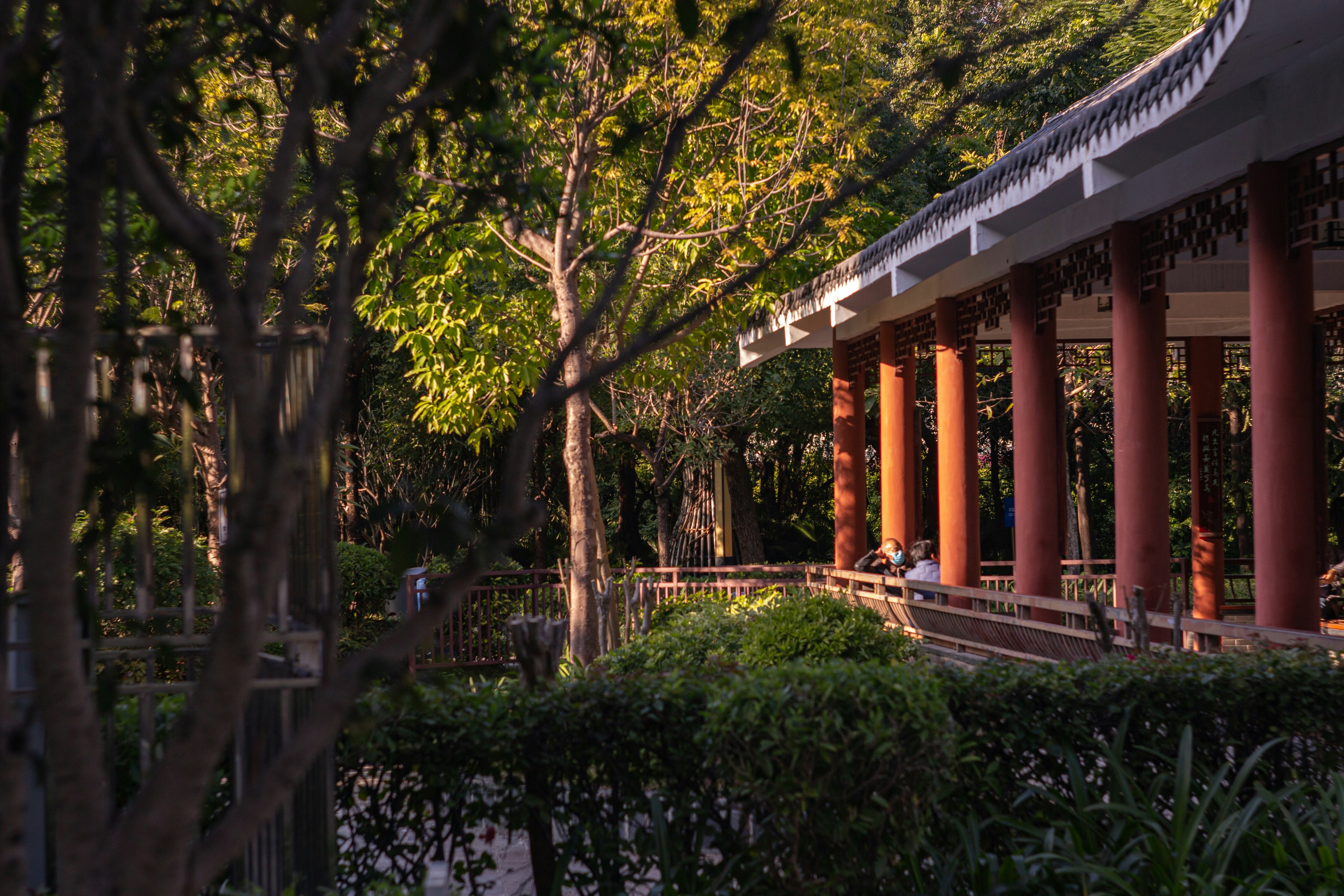 Photo by joshuafernandez