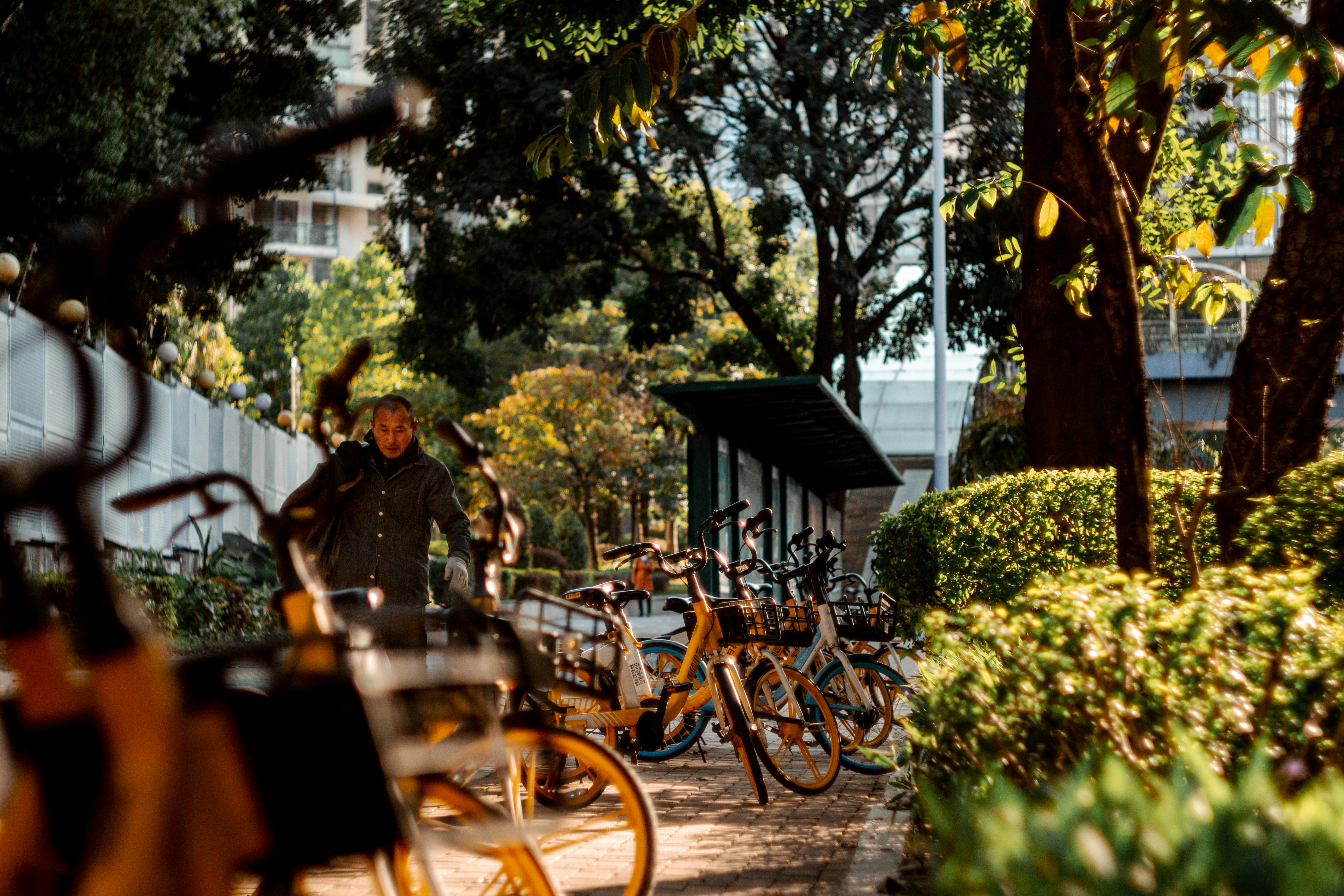 Photo by joshuafernandez