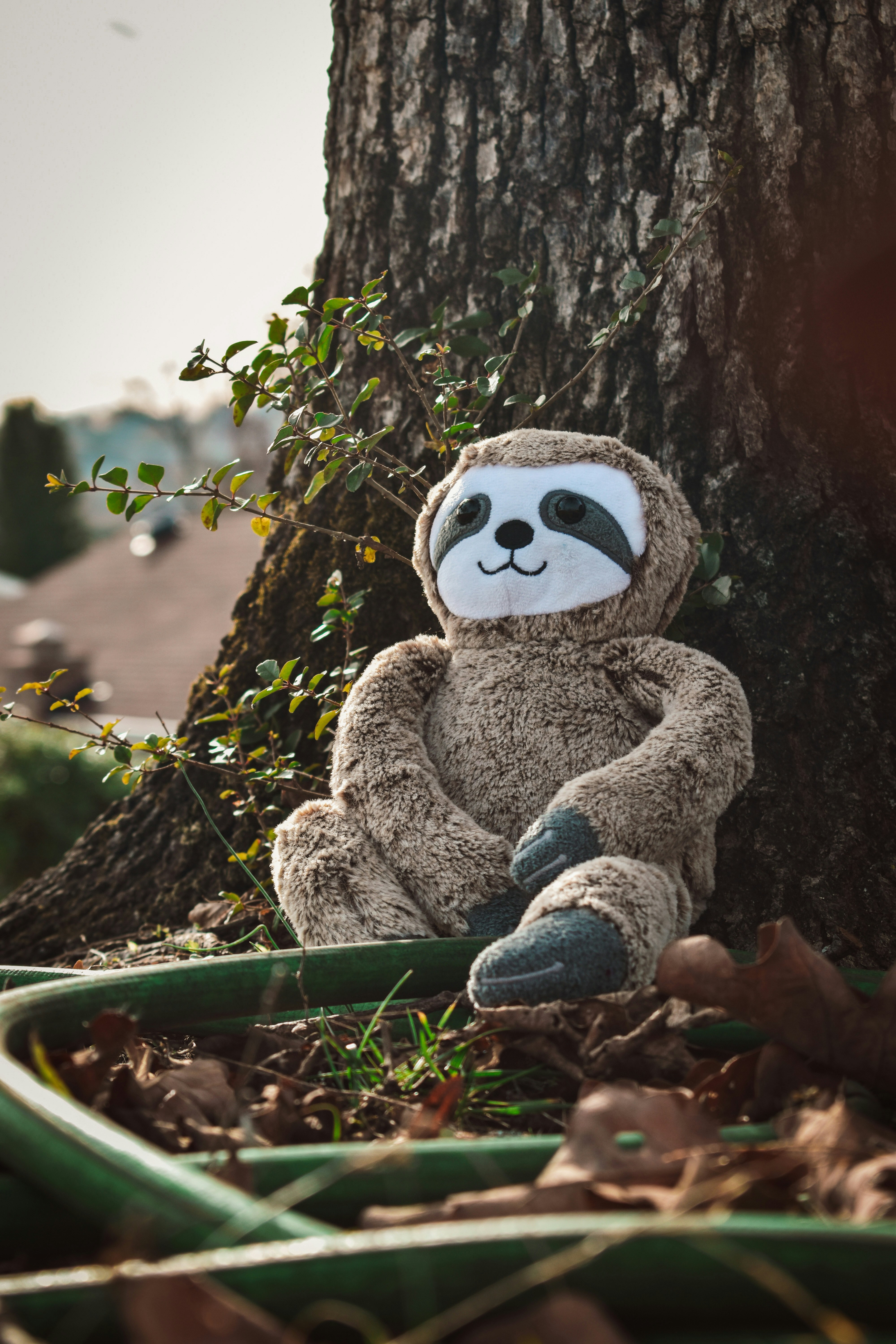 un animal en peluche est assis dans les feuilles