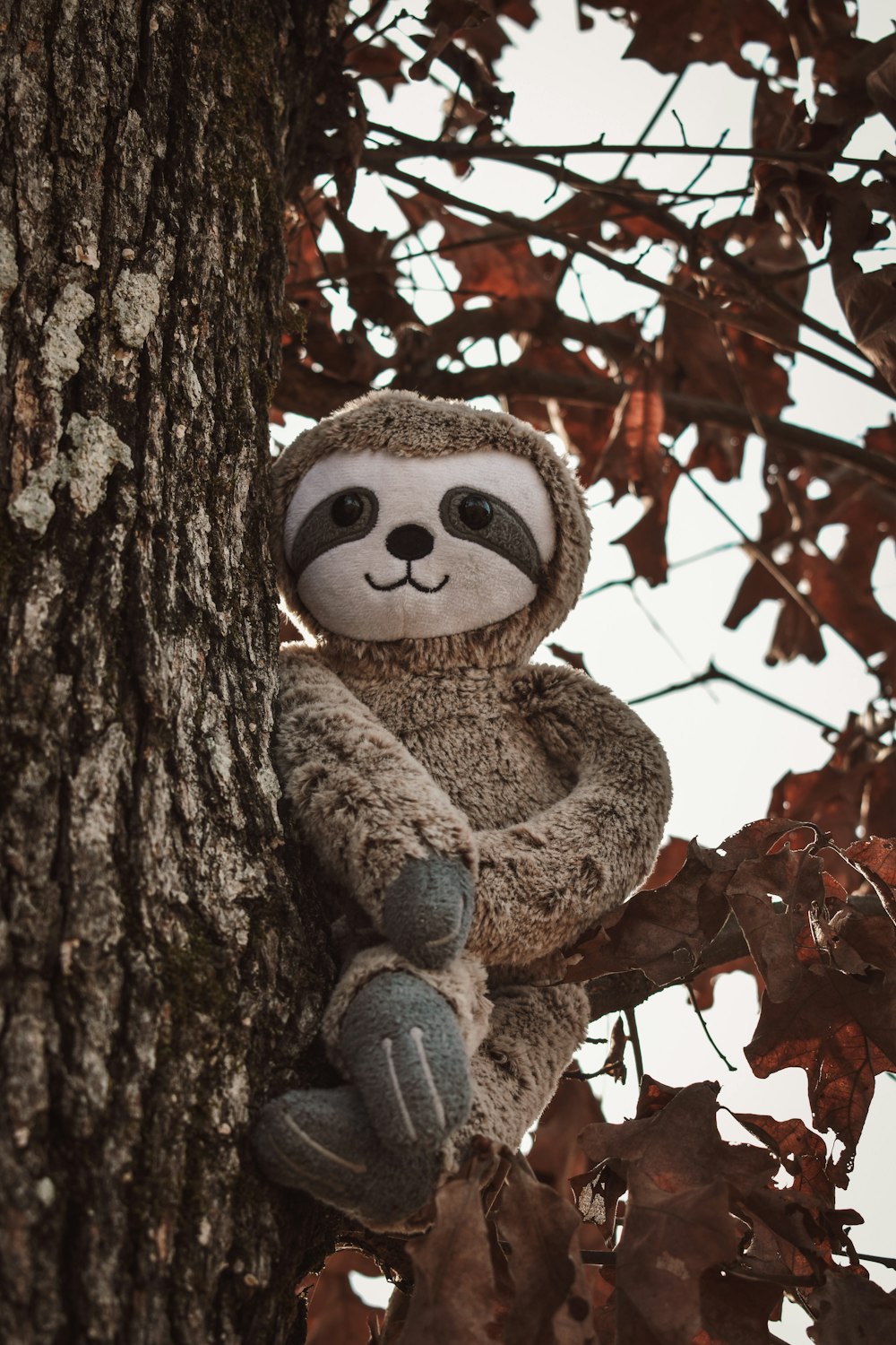 a stuffed animal that is sitting on a tree