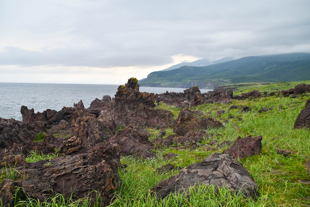 a grassy field with rocks and water in the background