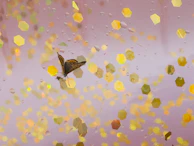 A symbolic image of a butterfly taking flight against a soft watercolor background in lavender and gold.