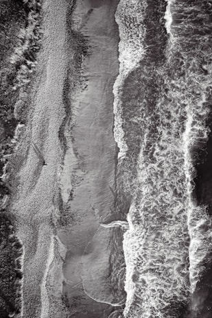 a black and white photo of a beach