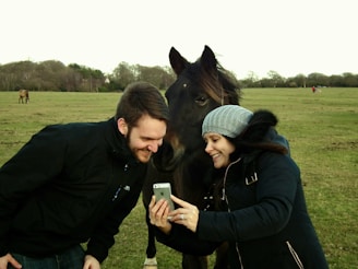 A friendly stock dog handler using the app on a smartphone in a sunny rural field.