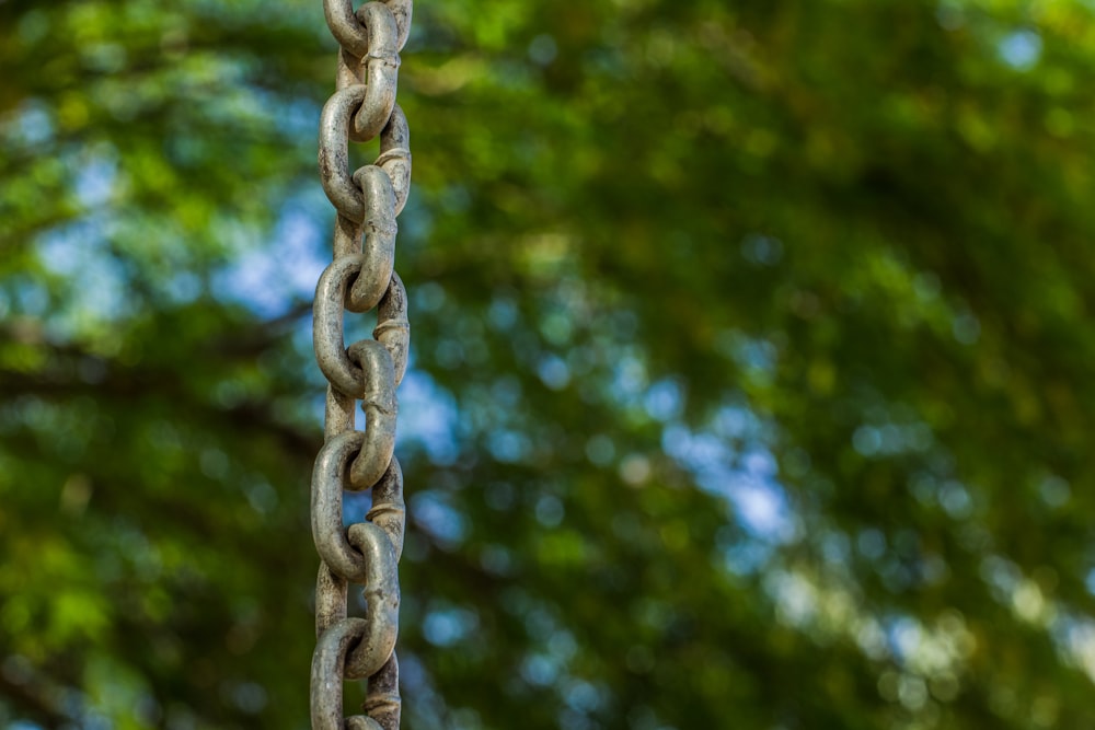 a close up of a chain with trees in the background