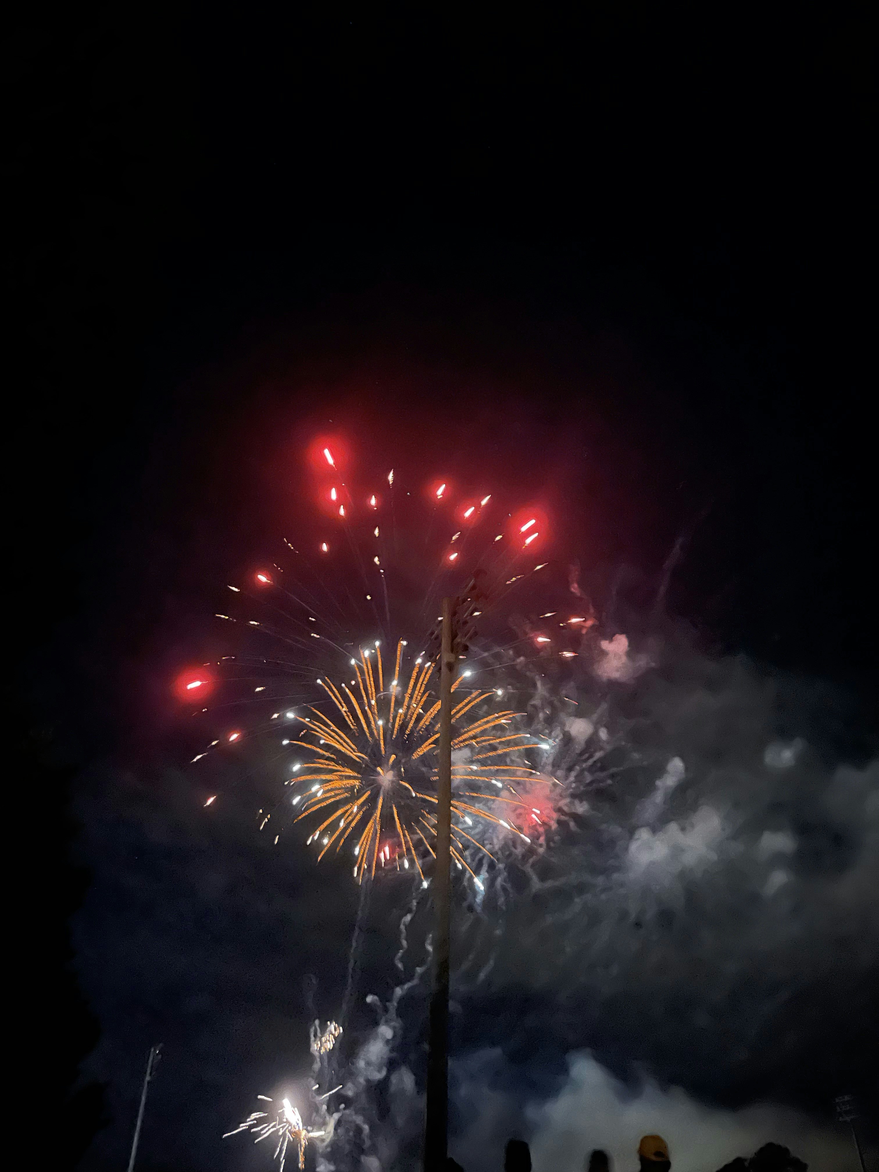 Keeping Your Pet Safe During Fireworks: A Guide for Pet Parents