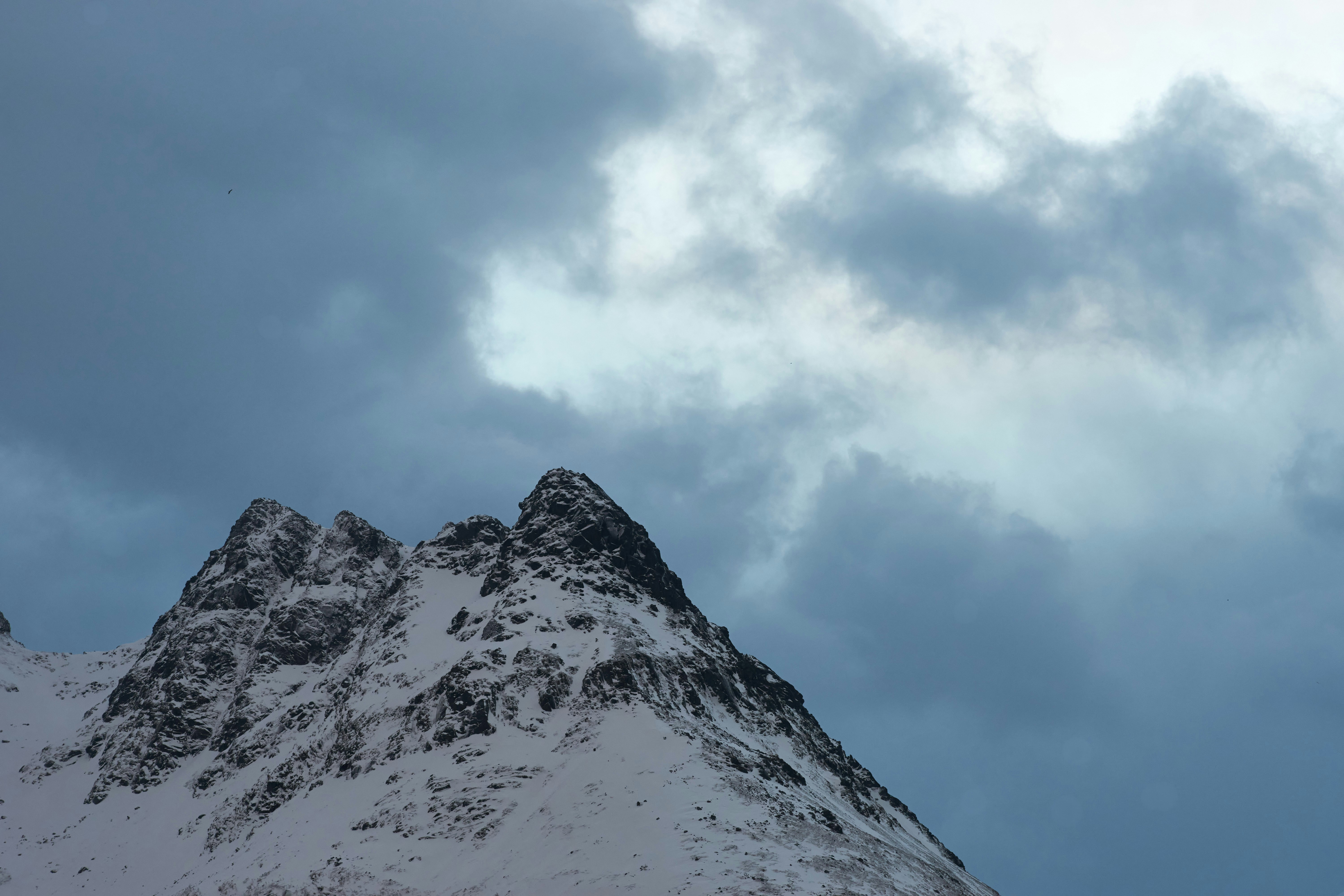 Photo by wolfgang_hasselmann