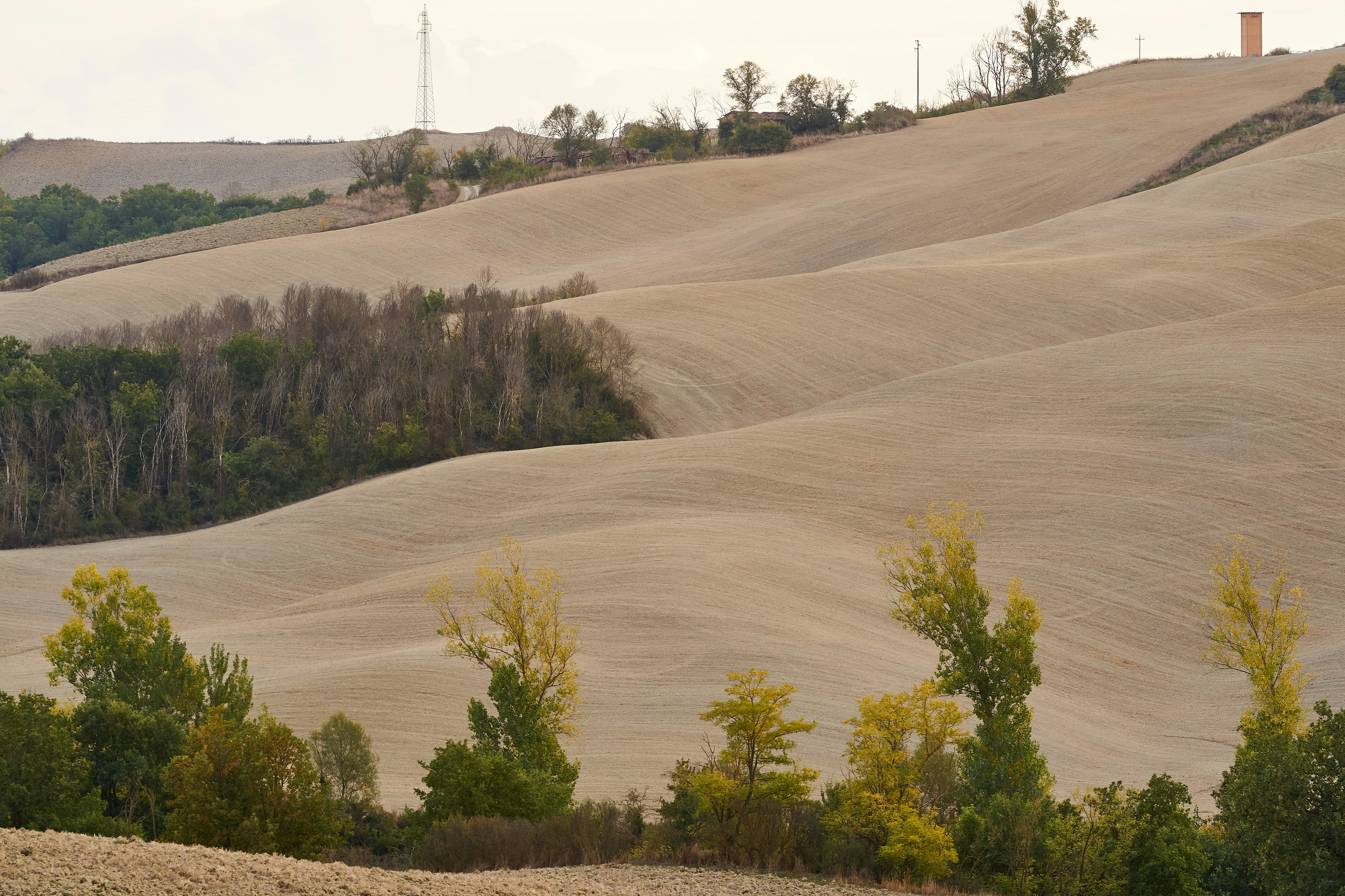 Photo by wolfgang_hasselmann