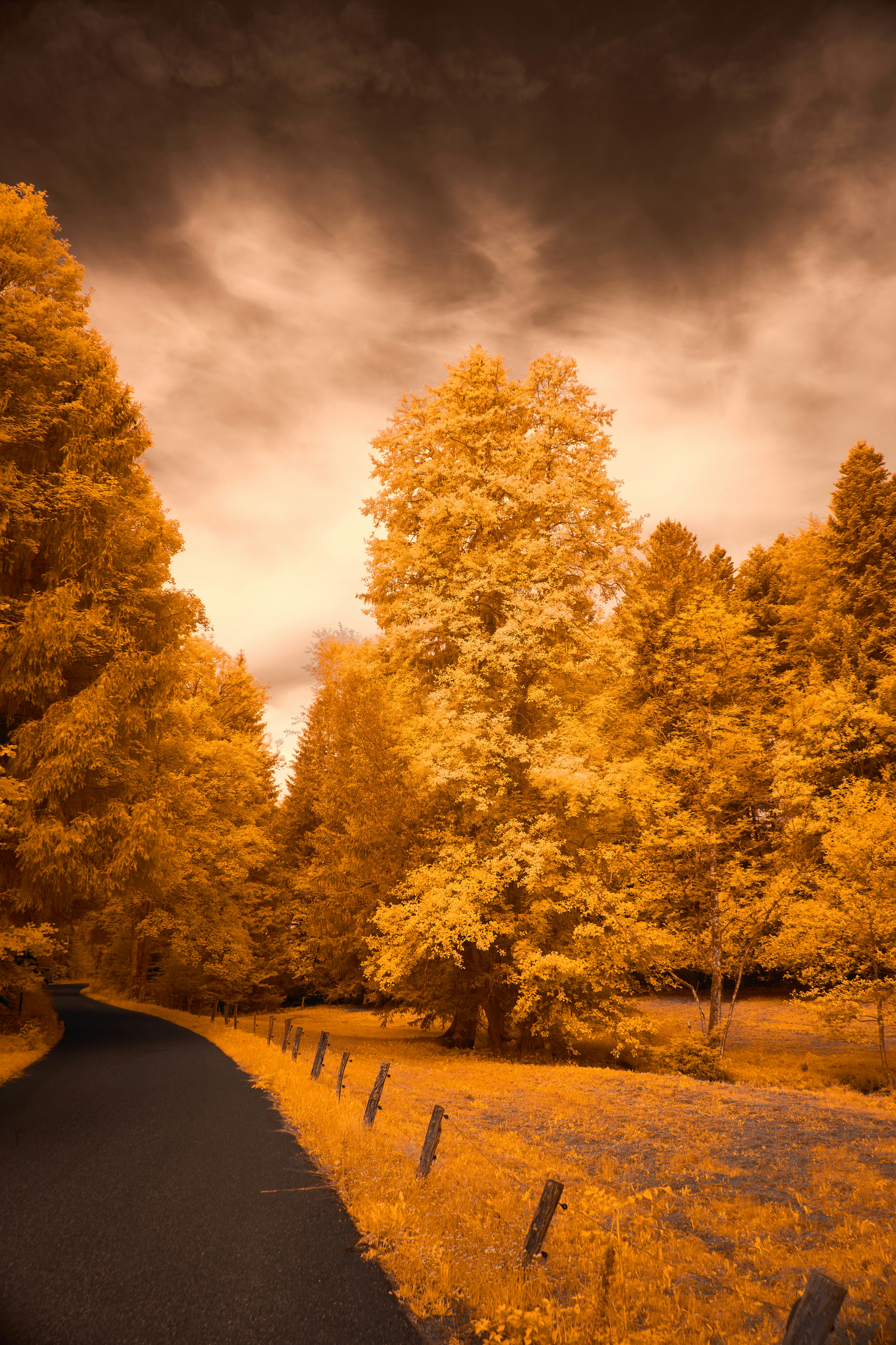 Photo by wolfgang_hasselmann