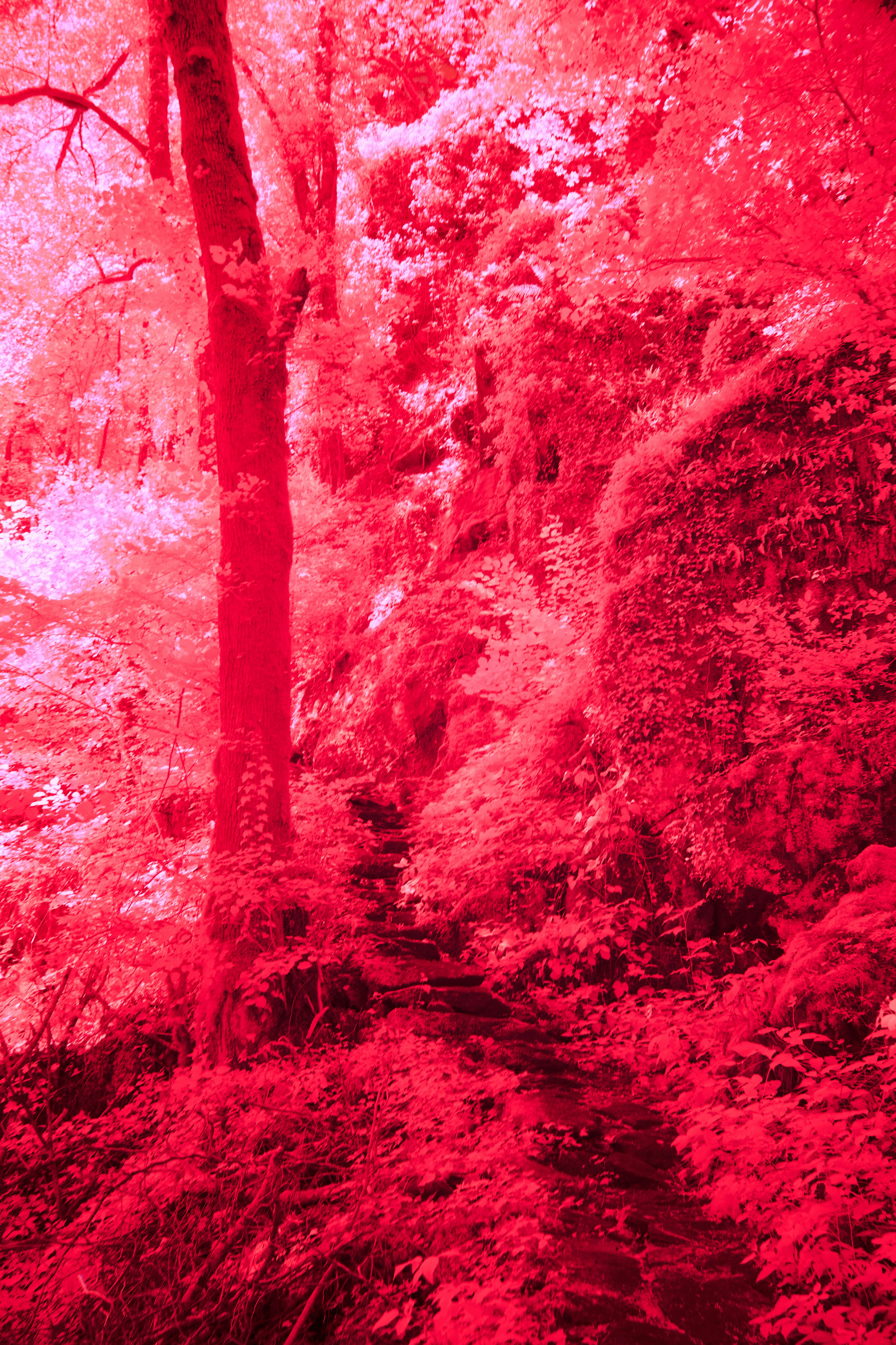 Photo by wolfgang_hasselmann