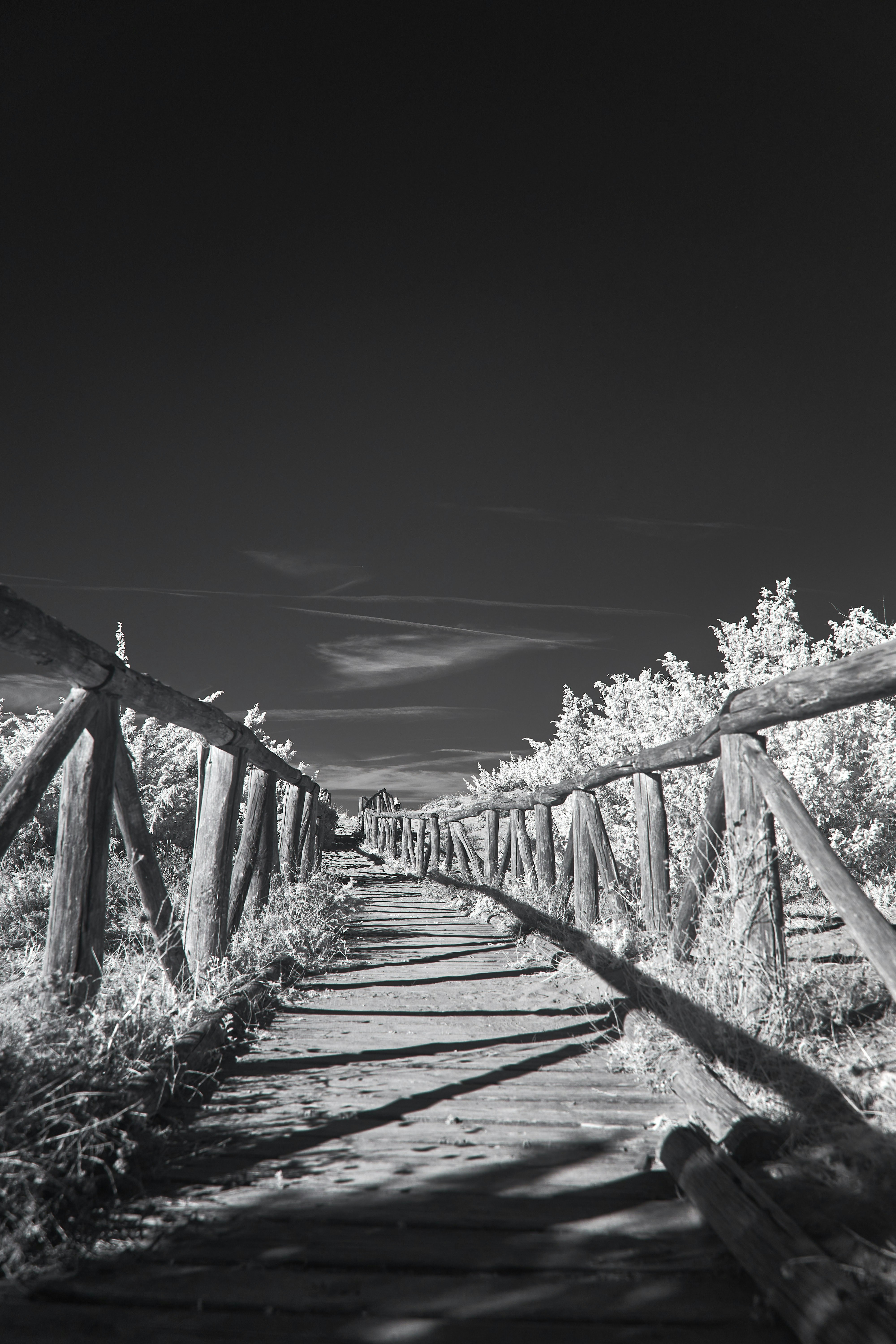 Photo by wolfgang_hasselmann